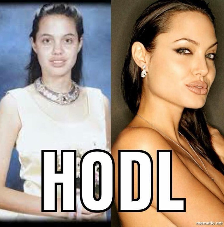 ALWAYS HODL2.jpg