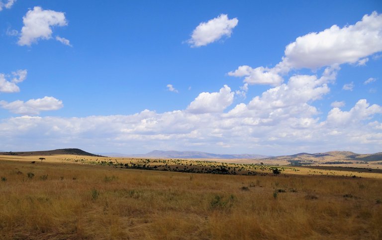 Maasai-Mara-Scenery.JPG