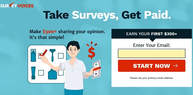 Paid Surveys - 15.jpg