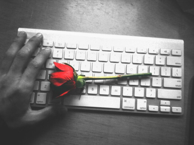 rose DAY 5.jpg