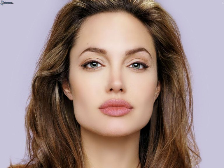 angelina-jolie2.jpg