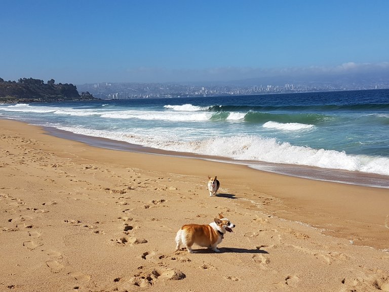 En la Playa.jpg