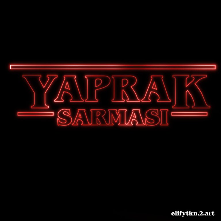 yaprak sarması-1.jpg