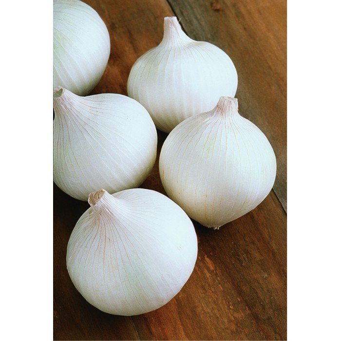 544c8244245b1_white_bulb_onion_albienka_allium_cepa_l._vegetable-1-700x700.jpg