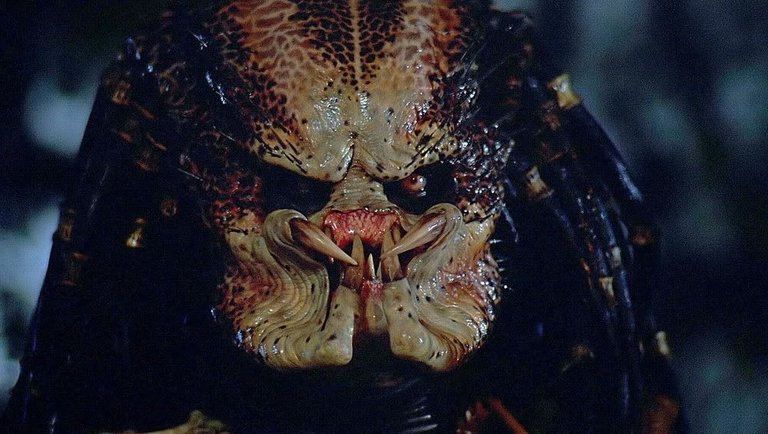 predator-1987_movie-still-2.jpg