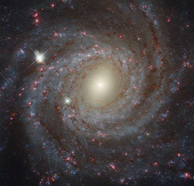 NGC3344.jpg