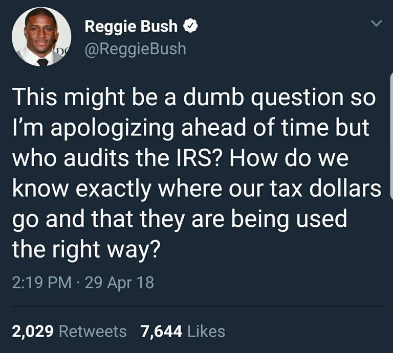 reggibush audit irs.jpg