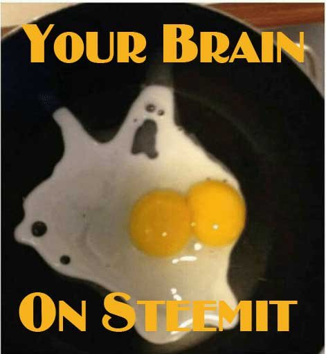 memegame your brain on steemit.jpg