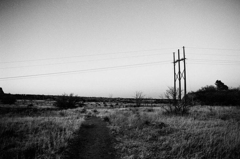 Field&PowerLines-31.jpg