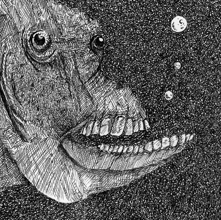 dum dum fish_detail.jpg