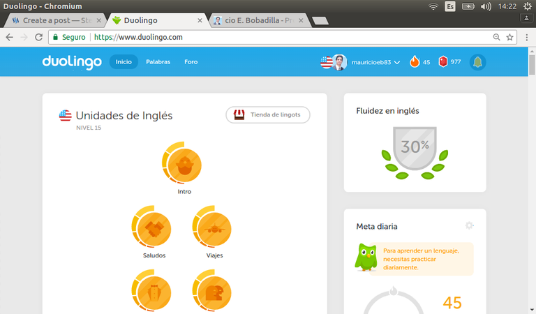 duolingo-web.png