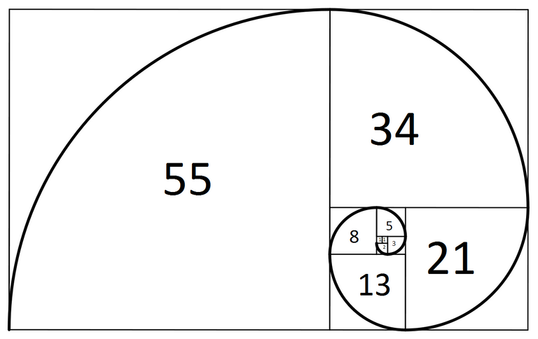Fibonacci-Spiral.png