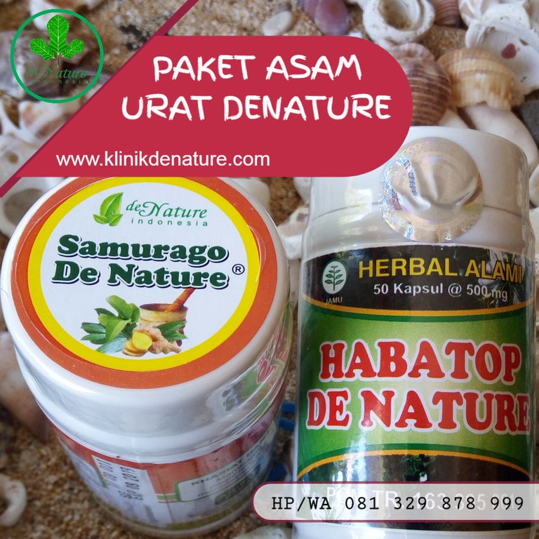 OBAT ASAM URAT DI KAKI.jpeg