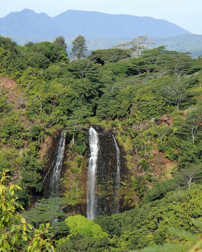 opaekaa falls.JPG