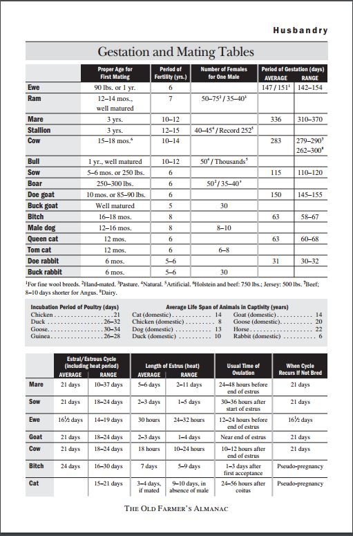 gestationandmatingtables.JPG