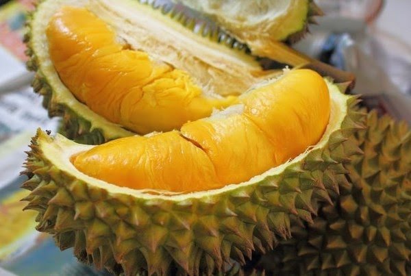 durian 2.jpg