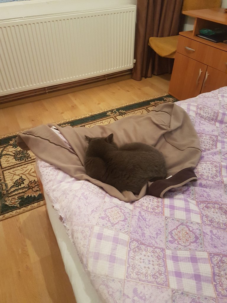 20170202_184554.jpg