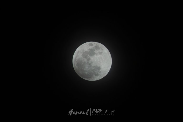 moon light-2.jpg