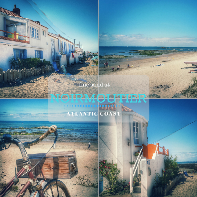 noirmoutier fine sand.png