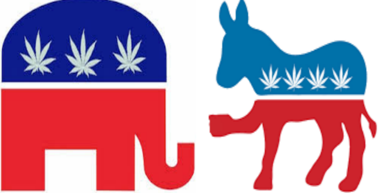 Vote For Weed.png