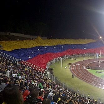 venezuela vinotinto.jpg