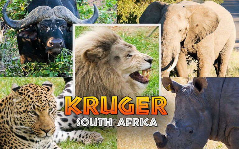 kruger-national-park-big-5-1080x675.jpg