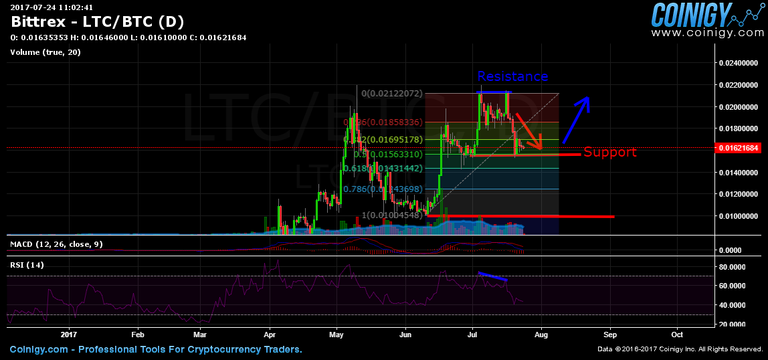 Ltc bounce.png