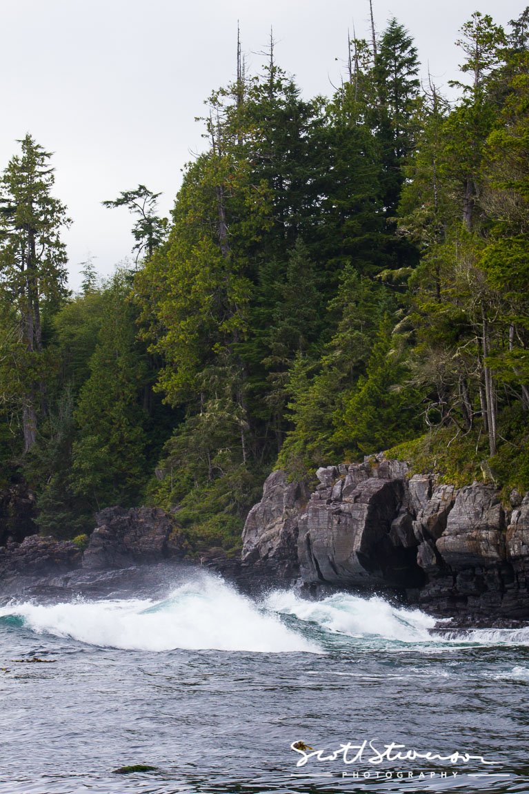 Port Renfrew-3.jpg