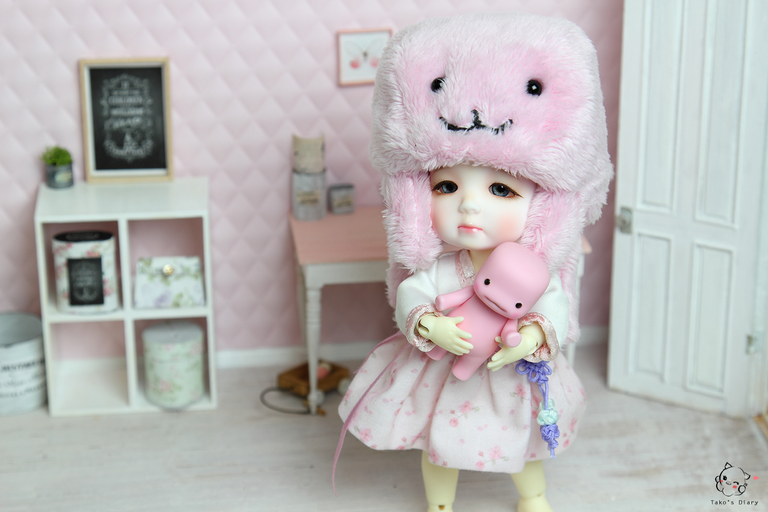 Tako's Diary - Nabi and a pink Marshmallow pet handmade miniature takosdiary hanbok photography