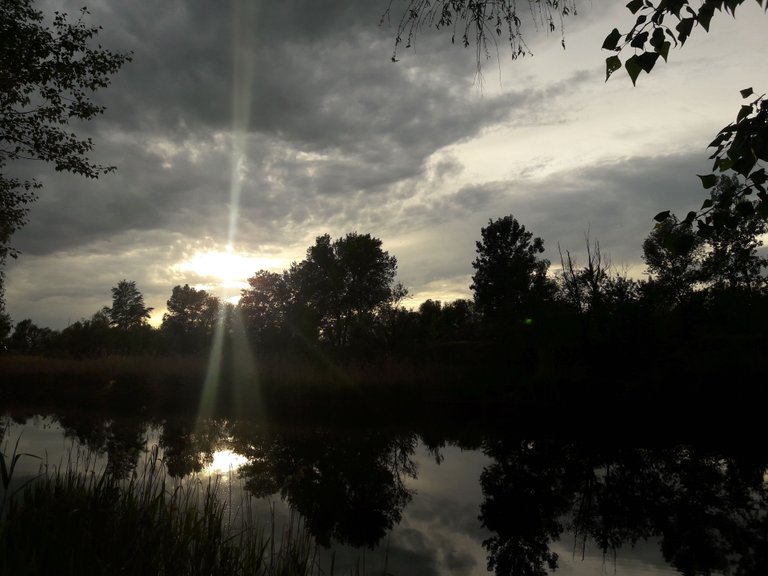 20170513_191138.jpg