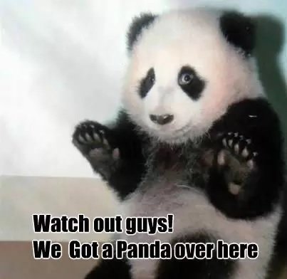 panda_short_html_e7f85f9b.jpg