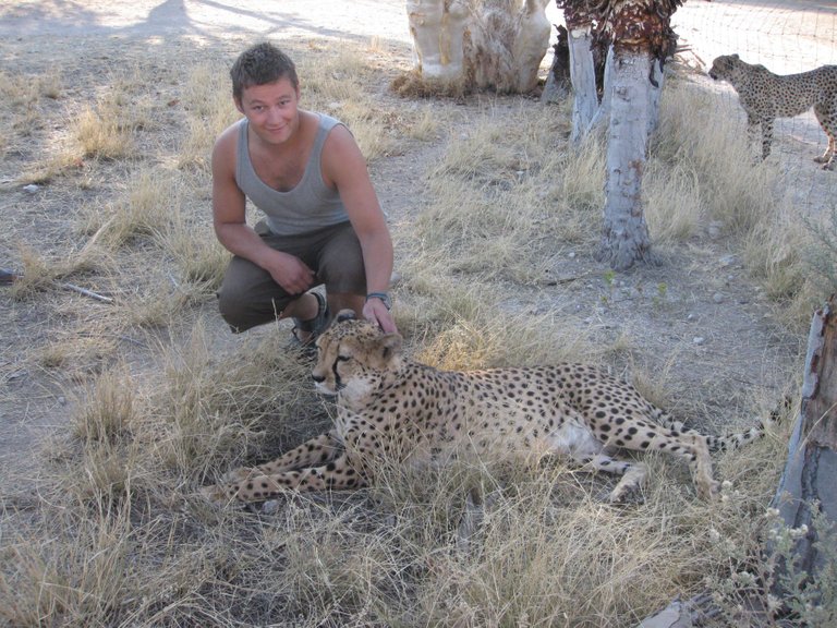 orjan patting cheetah.JPG