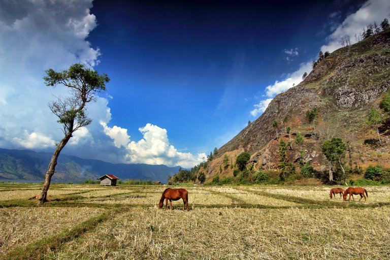 Panorama Ditepi Laut Tawar, Takengon.jpg