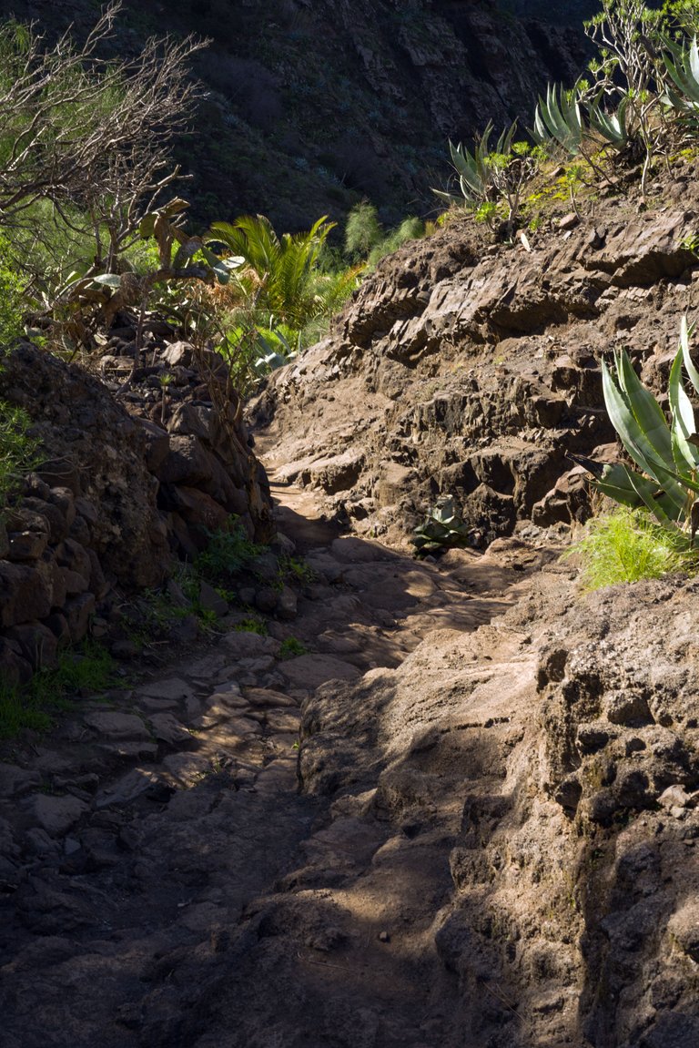 Tenerife day 6 Masca_57.jpg