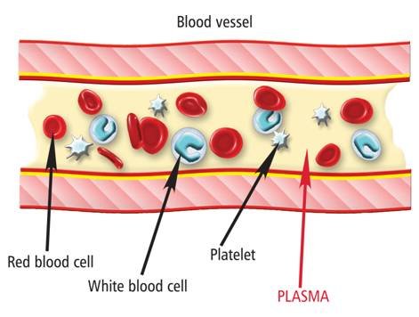 plasma.jpg