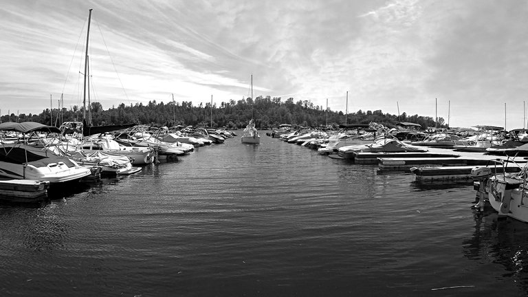 YI008801.MP4_20171228_055342.538-bw-boating-day-at-the-marina.#174.jpg