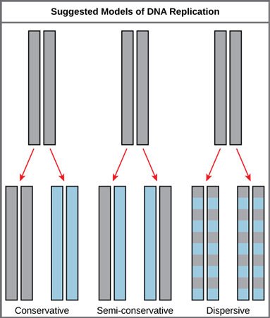 Figure_14_03_01-.jpg