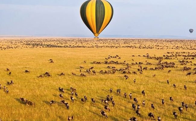 Balloon Safari.jpg