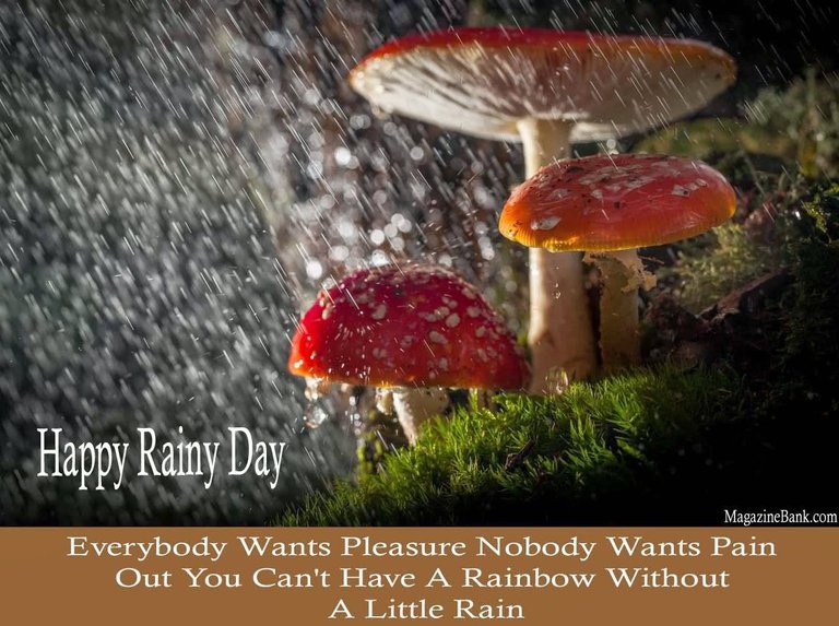 Happy-Rainy-Day-Everybody-Wants-Pleasure-Nobody-Wants-Pain-Out-You-Cant-Have-A-Rainbow-Without-A-Little-Rain..jpg