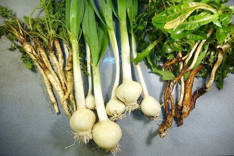 x leeks and roots 5.jpg