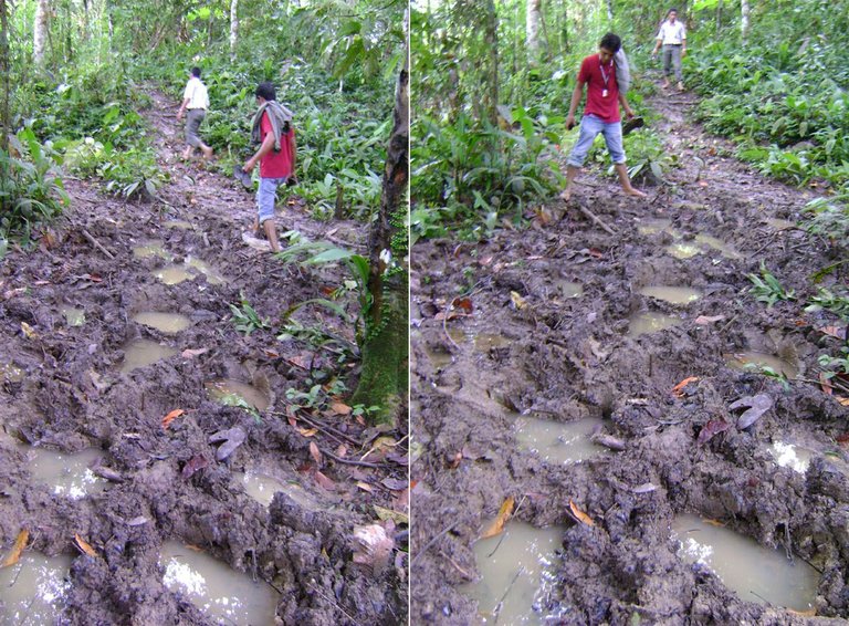 jejak kaki gajah.jpg