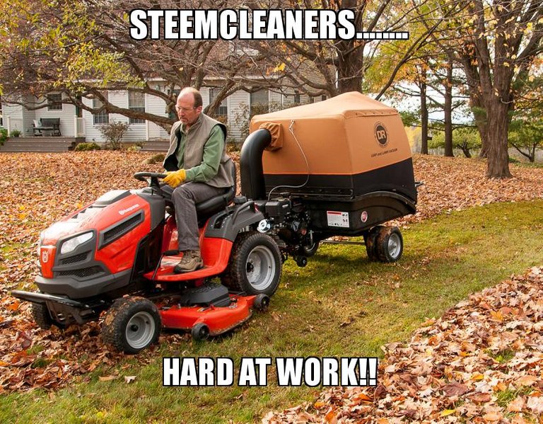 steemcleanersMower.jpg