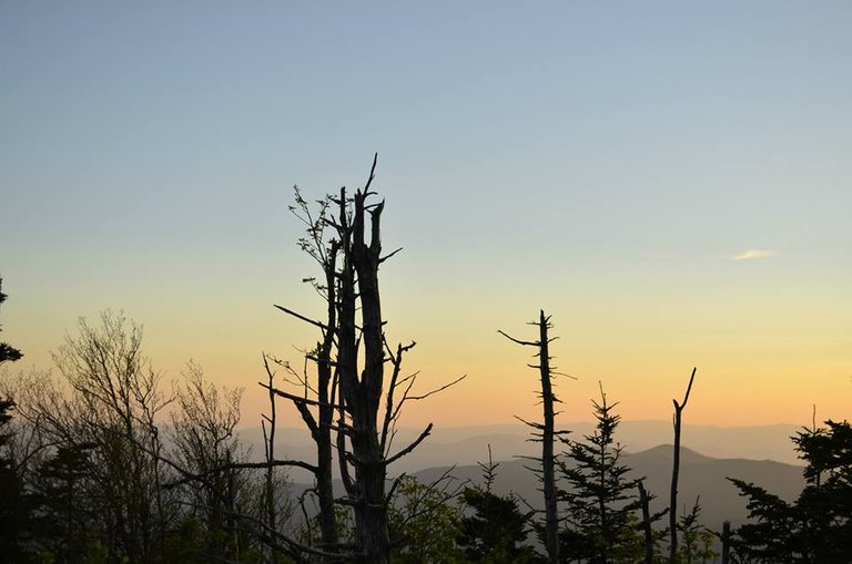 Great Smoky Mountains National Park.11.jpg