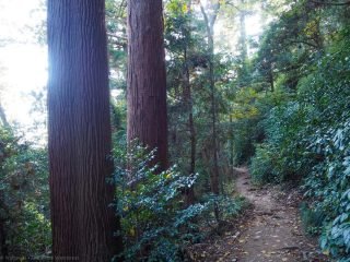 mount-takao-23-320x240.jpg