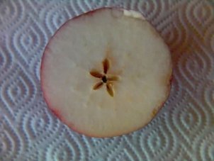 manzana.jpg