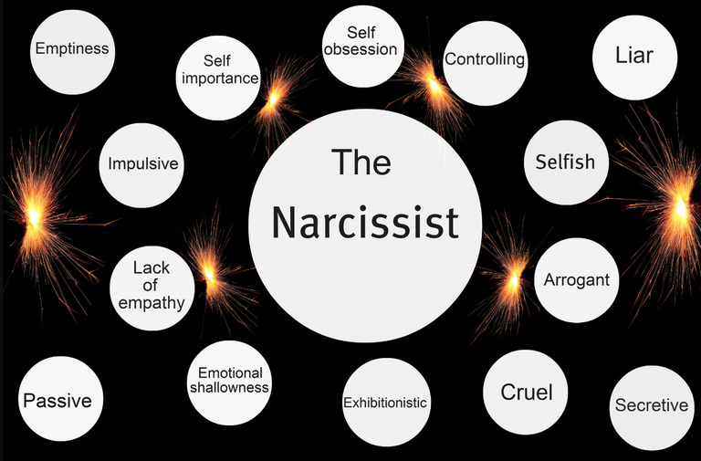 Narcissism Traits.png