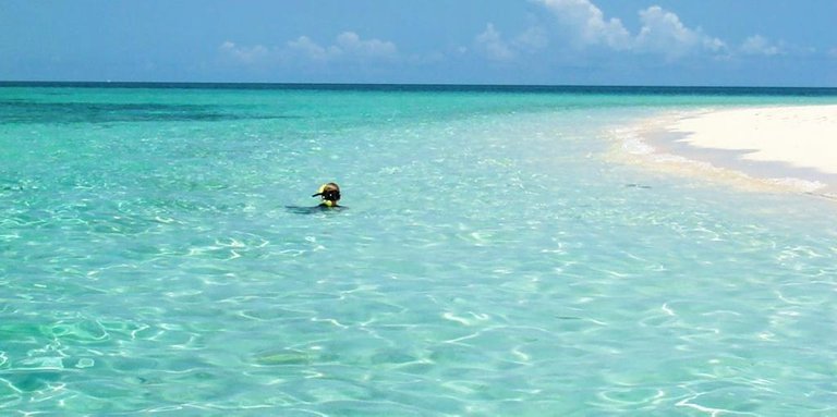 Snorkelling from the beach at Cape Trib Camping.jpg