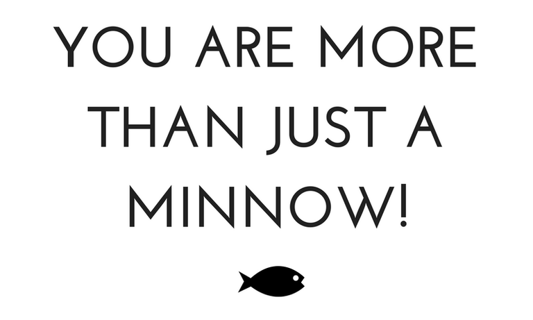 minnow.png