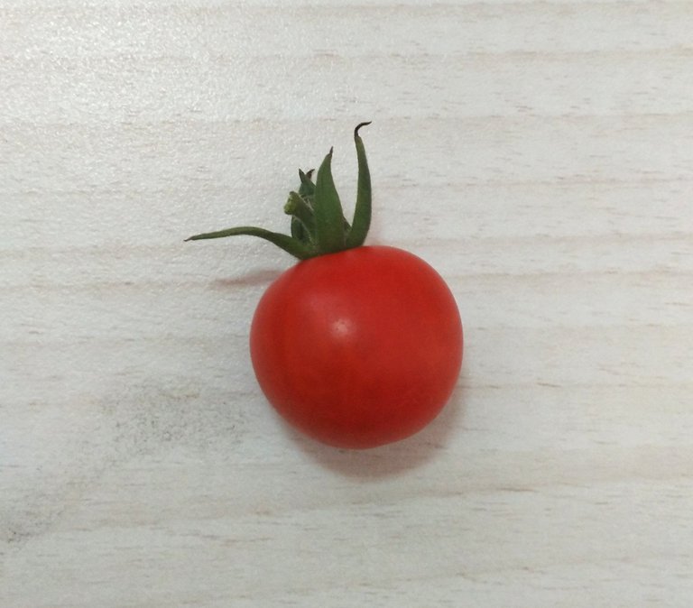 baby tomato.jpg
