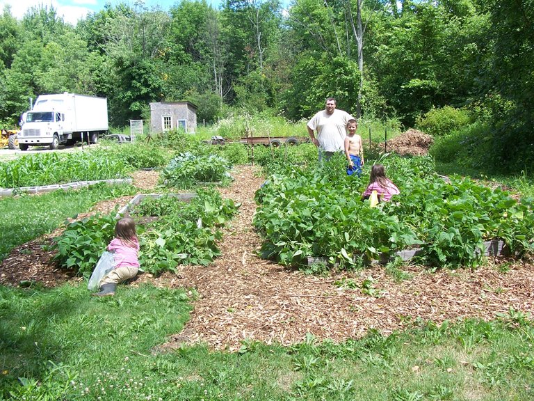 Garden July 2007 002.jpg